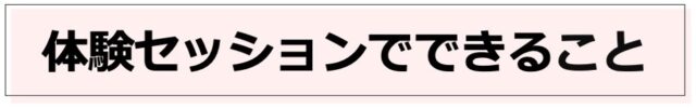 体験セッションでできること