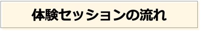 体験セッションの流れ